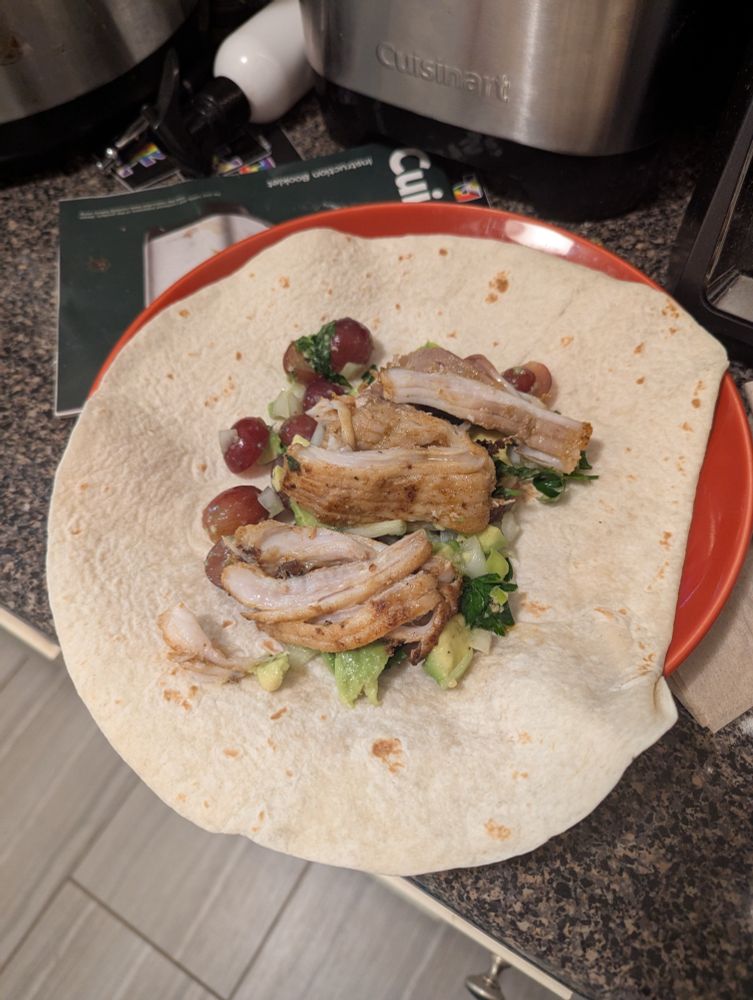 Burrito flour tortilla with grilled fish and salsa described in previous skeet. 