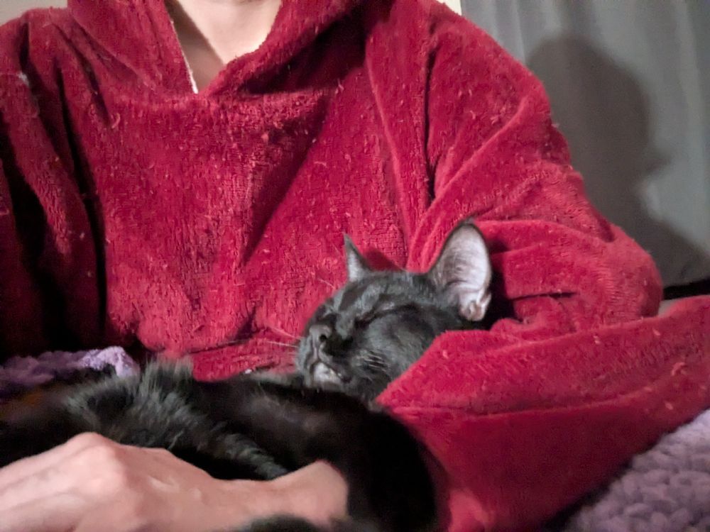 A black cat is passed out sleeping in a person's arms while holding onto their arm. 