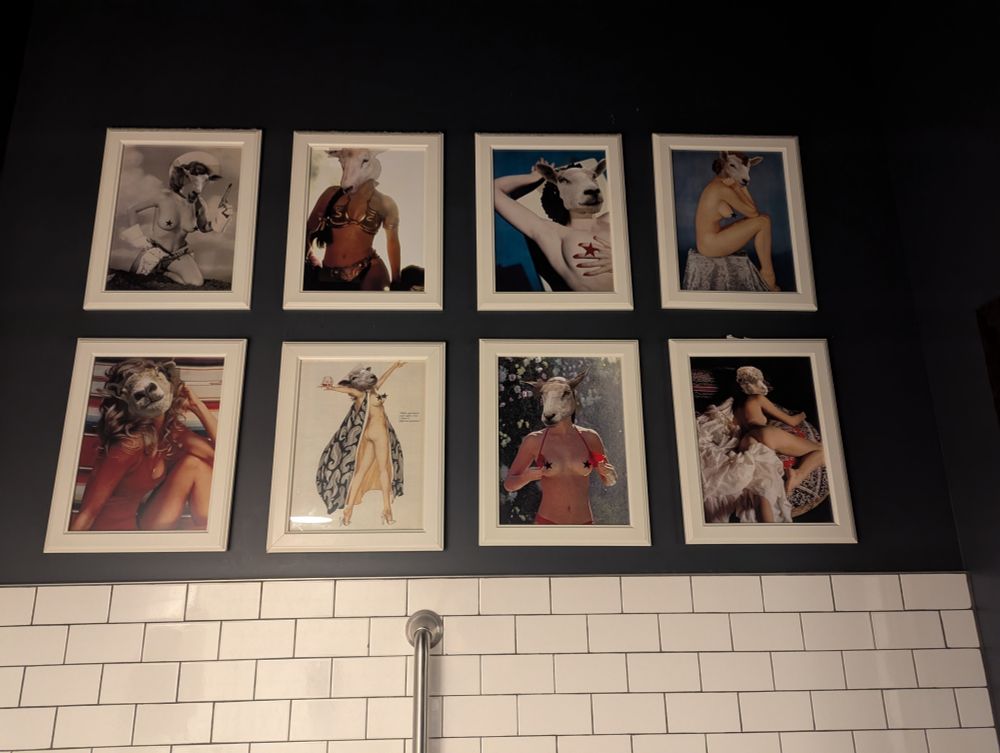 Various famous pinup photos with the heads replaced by sheep heads