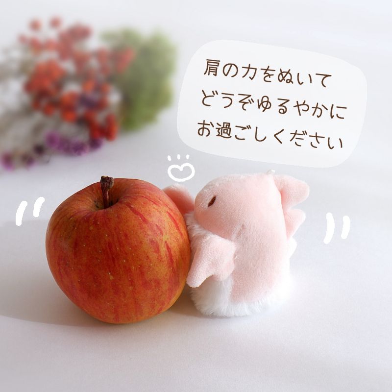 肩の力をぬいてゆるりとお過ごしくださいませ。
（ドラゴンのぬいぐるみとリンゴの写真）