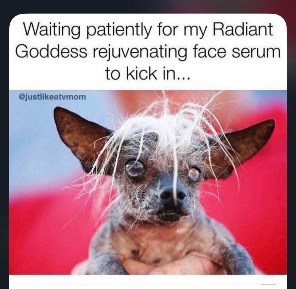 Ugly dog saying “Waiting patiently for my rejuvenating face serum to kick in.”