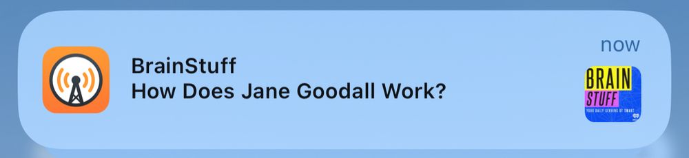 The newest episode of the BrainStuff podcast, titled “How Does Jane Goodall Work?”