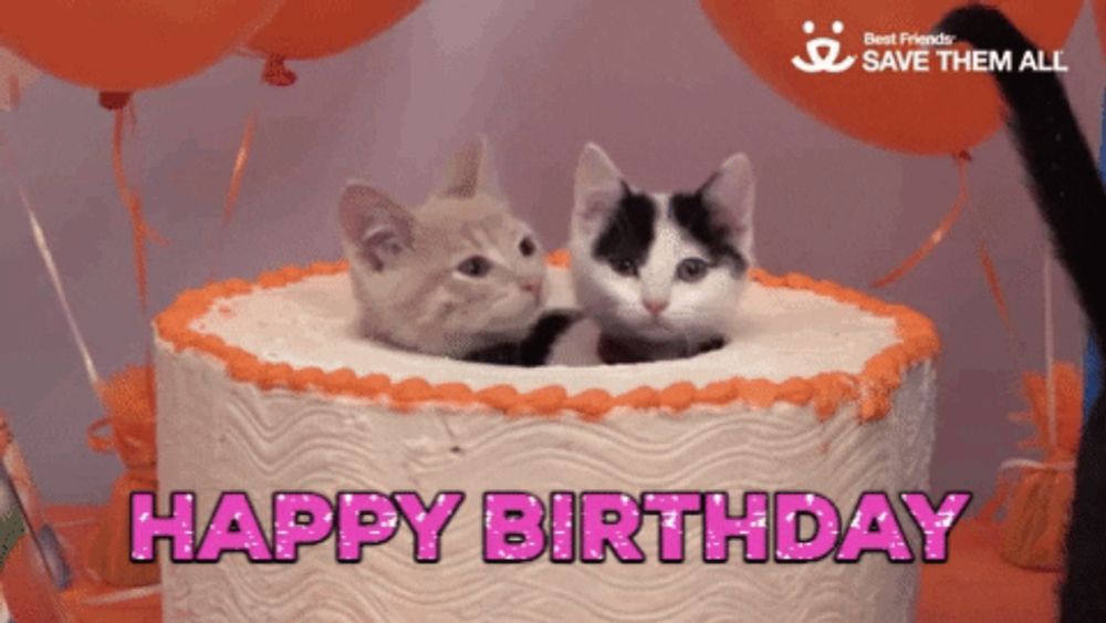 Save Them All Happy Birthday GIF by Best Friends Animal Society - Find & Share on GIPHY