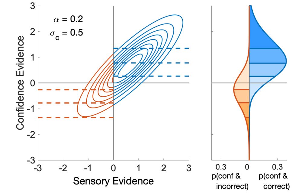relationship between sensory evidence and confidence evidence