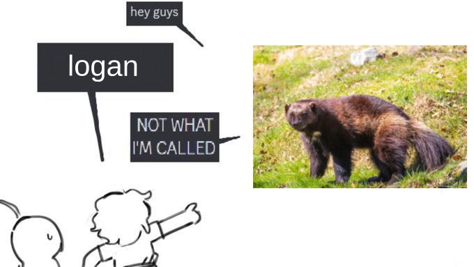 A meme with a group of people and a stock image of a wolverine. "hey guys" the wolverine says. "logan" the group replies, and then the wolverine shouts back "NOT WHAT I'M CALLED"