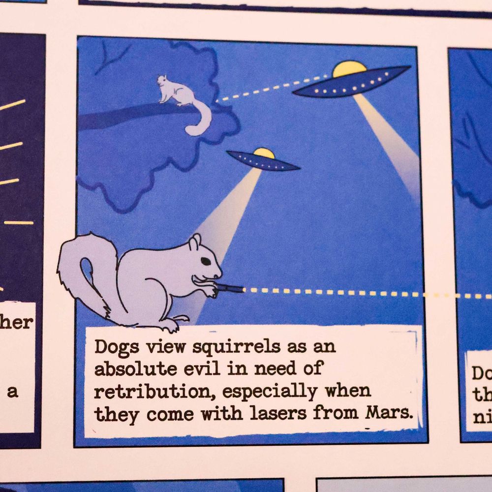 Close-up on another comic square. This one reads, "Dogs view squirrels as an absolute evil in need of retribution, especially when they come with lasers from Mars."
