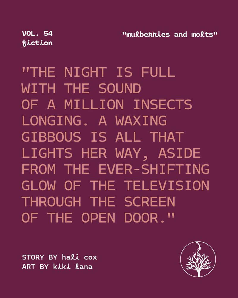 A quote from the issue. It reads, "The night is full with the sound of a million insects longing. A waxing gibbous is all that lights her way, aside from the ever-shifting glow of the television through the screen of the open door."