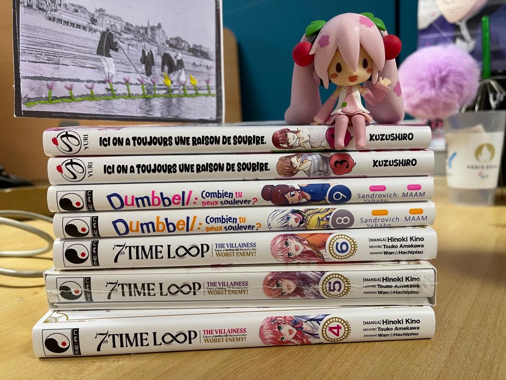 Un tas de mangas  avec une petite figurine posée dessus 