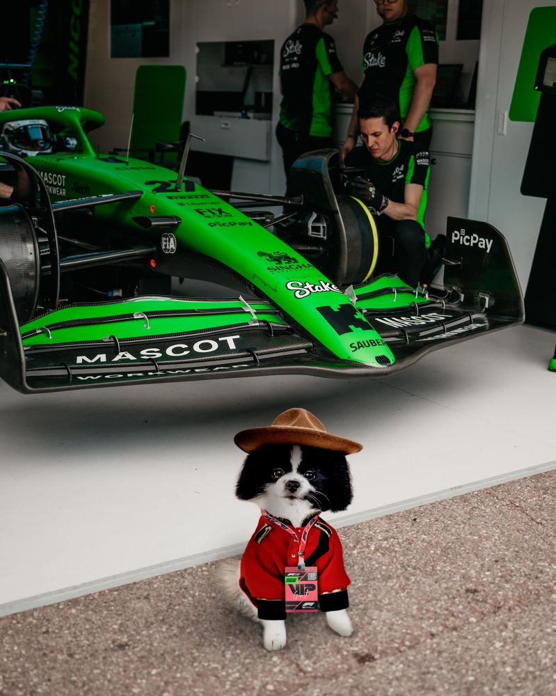 Zeus - pies Nico Hülkenberga 🐶