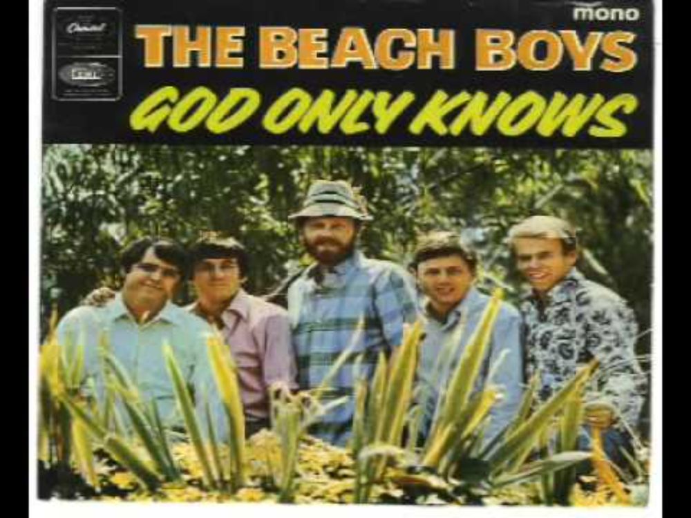 Brian Wilson - Smart Girls