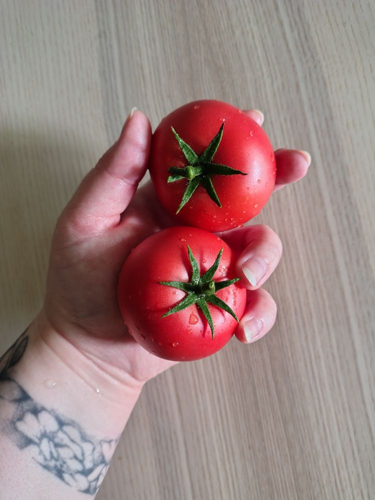 Picture of a hand holding two small but vibrantly red tomatoes. 