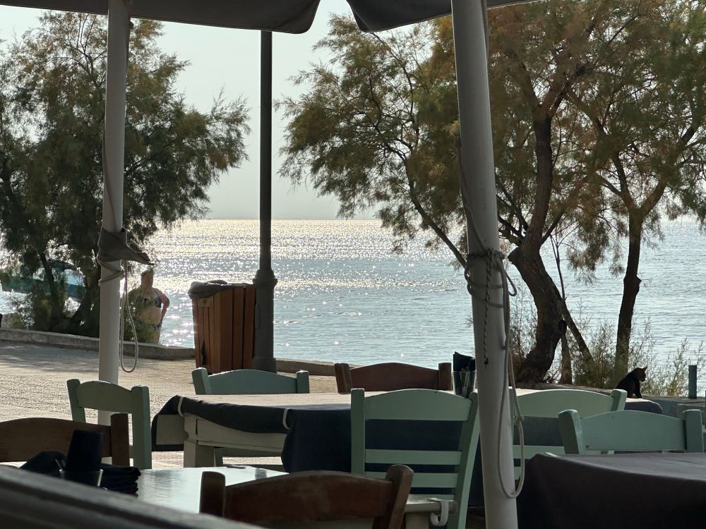 Glitzerndes Meer in der Abendsonne eingerahmt von Bäumen aus einer Taverne heraus fotografiert.