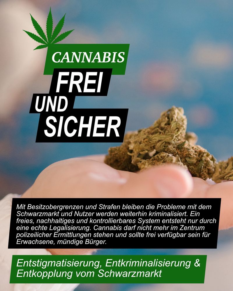 Mit Besitzobergrenzen und Strafen bleiben die Probleme mit dem Schwarzmarkt und Nutzer werden weiterhin kriminalisiert. Ein freies, nachhaltiges und kontrollierbares System entsteht nur durch eine echte Legalisierung. Cannabis darf nicht mehr im Zentrum polizeilicher Ermittlungen stehen und sollte frei verfügbar sein für Erwachsene, mündige Bürger.

Entstigmatisierung, Entkriminalisierung & Entkopplung vom Schwarzmarkt