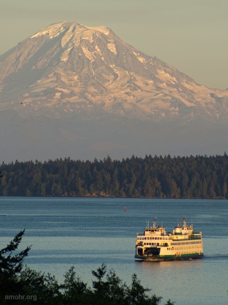 A green and white Washington State car ferry cruises on a calm Puget Sound at golden hour. Tahoma/Rainier rises behind above a dark green treeline. The snow level is low in the middle of summer.