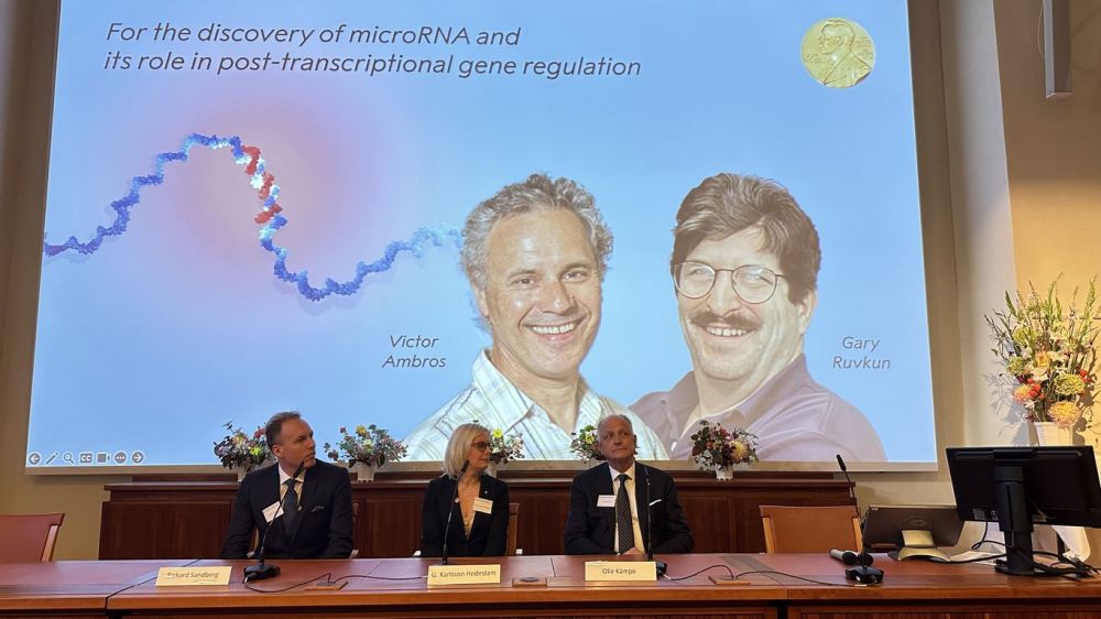 American scientists win Nobel Prize in medicine for microRNA discovery