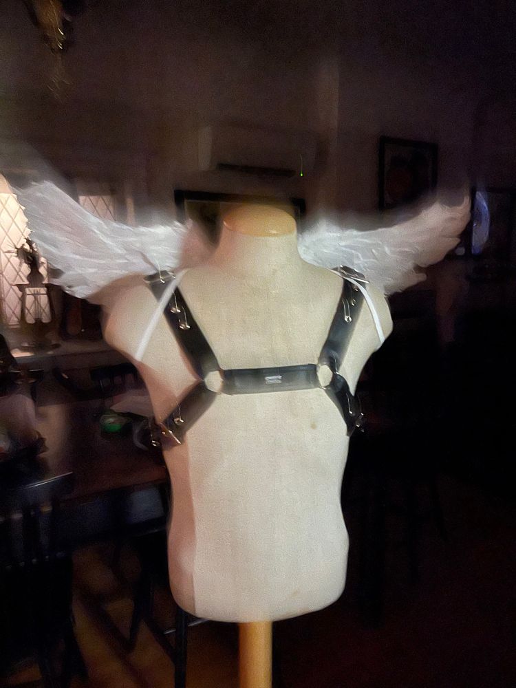 shitty wings and harness