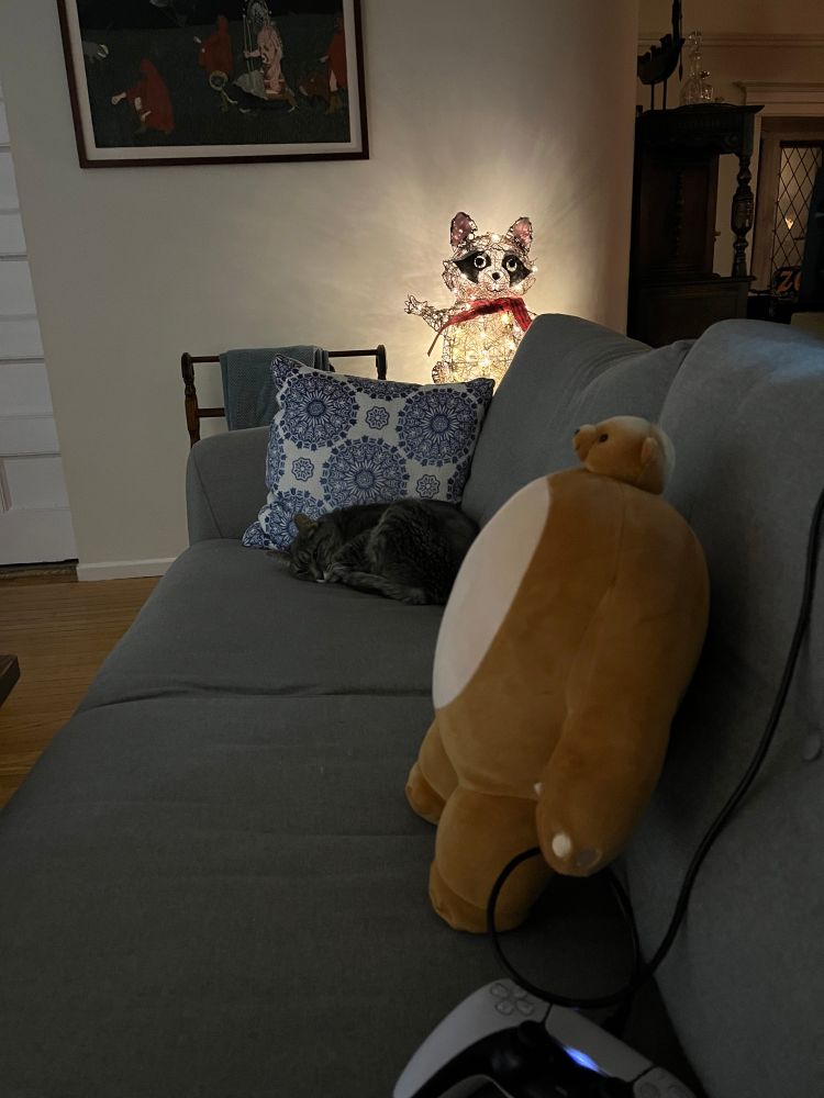 a light up raccoon, a living cat, and a bear with a small head 