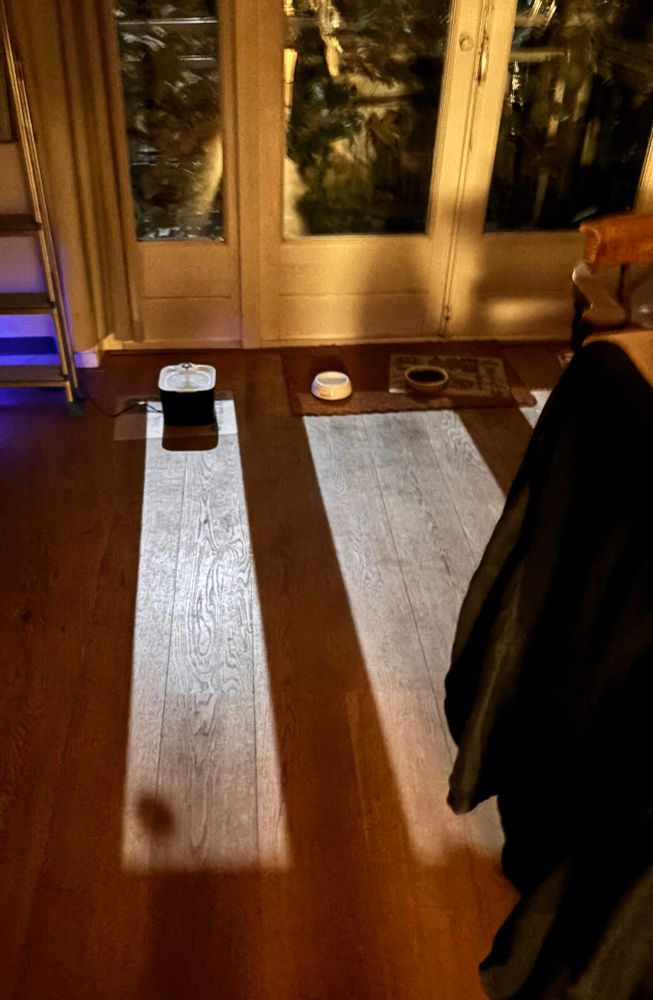 Moon shining into my house. No filter just moonlight 