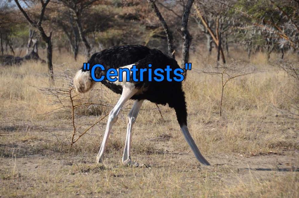 An ostrich with its head in the dirt with the word "Centrists" over it.