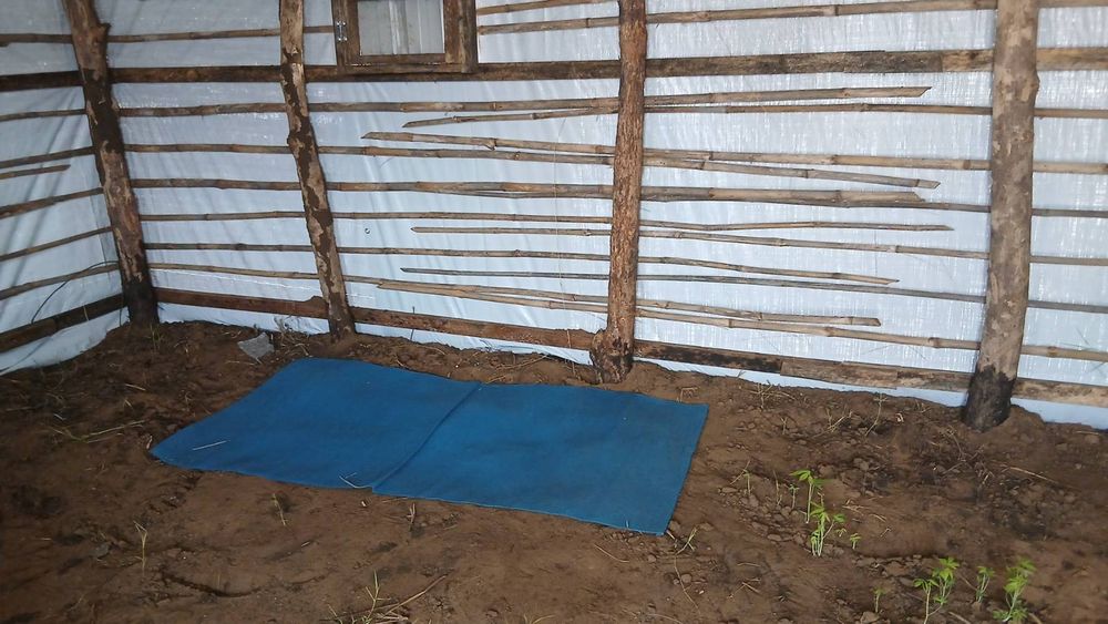 a blue mat is on an uneven dirt floor in a building made of branches and tarp