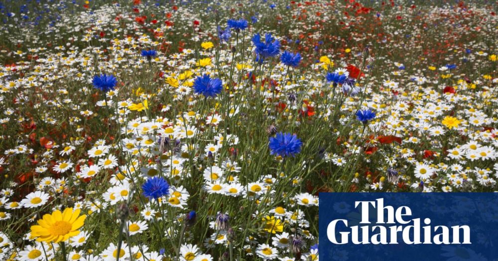 England’s nature-friendly farming budget to be cut by £100m