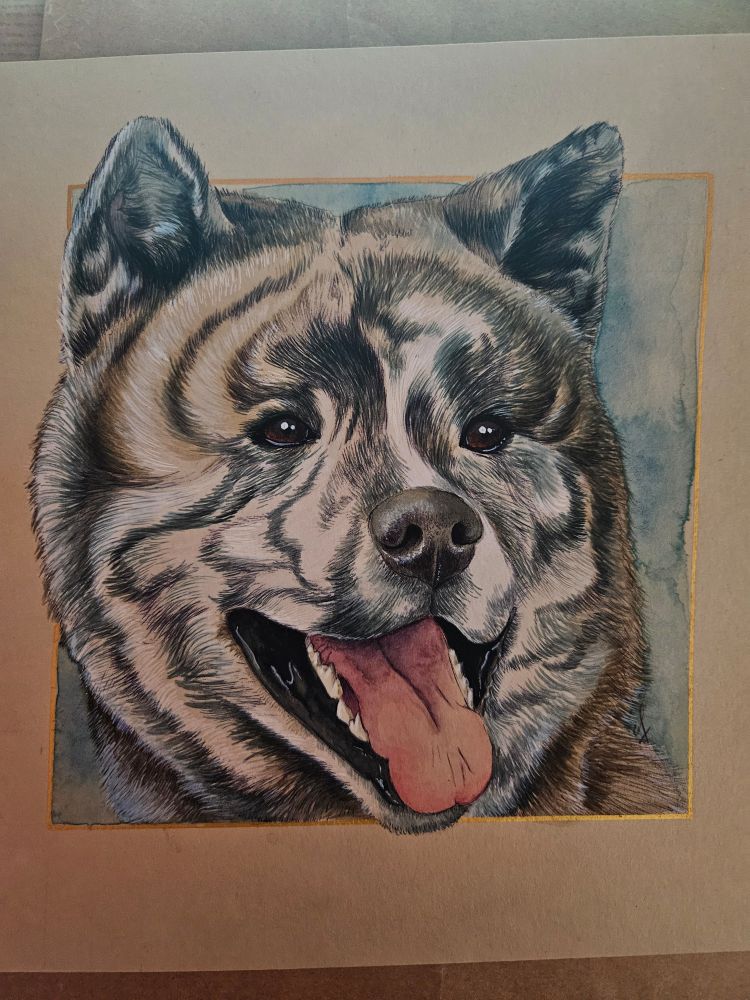 Gros plan sur le dessin 