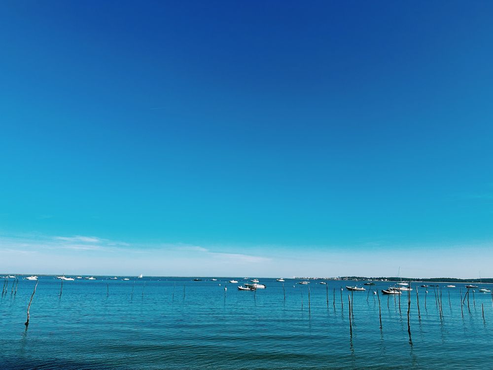 photo du bassin d'Arcachon : grand ciel bleu avec juste un peu de nuages blancs au dessus de la ligne d'horizon, mer calme, piquets en bois et quelques bateaux