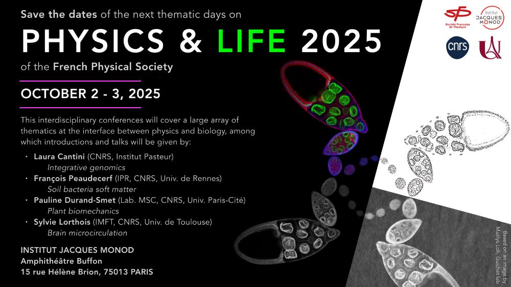 Save the date poster of the Physics & Life days, division of the French Physical Society.