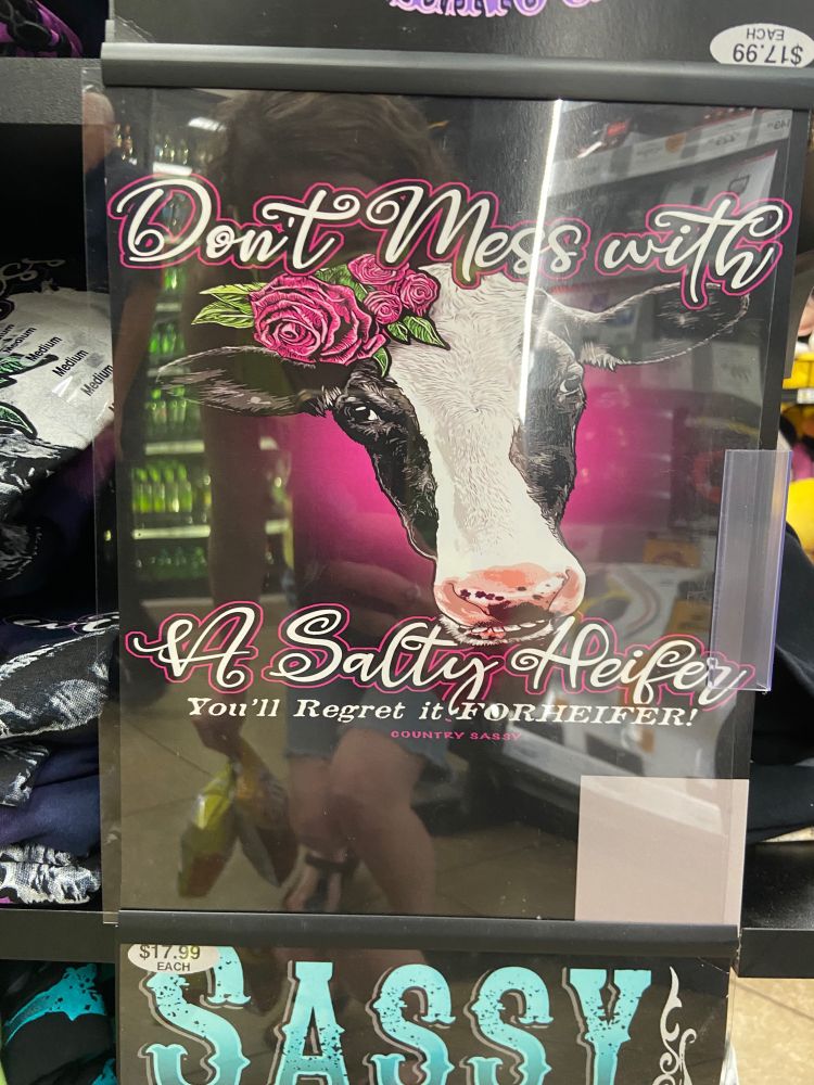 A truck stop tshirt with a cow with a flower on its head that says, “don’t mess with a salty heifer. You’ll regret it forheifer.”