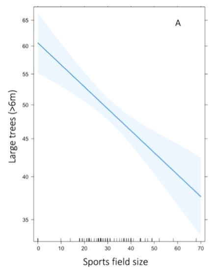 Negative relationship between the percentage of school grounds consisting of sports field on the predicted number of large trees per school. 