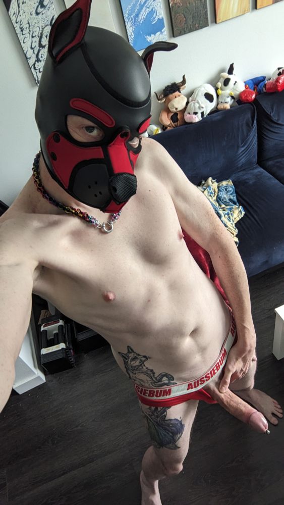 Overhead view of me in pup hood and Aussiebum briefs with my hard cock sticking out looking in desperate need of a willing hole to fill. 

Bonus bare foot visible for the paw lovers.