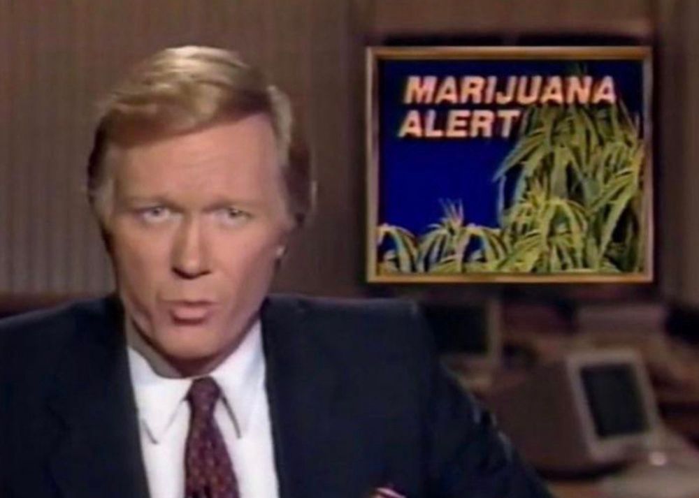 White make tv newscaster in a dark suit with an image shown in the top right corner: cannabis plants with a caption MARIJUANA ALART