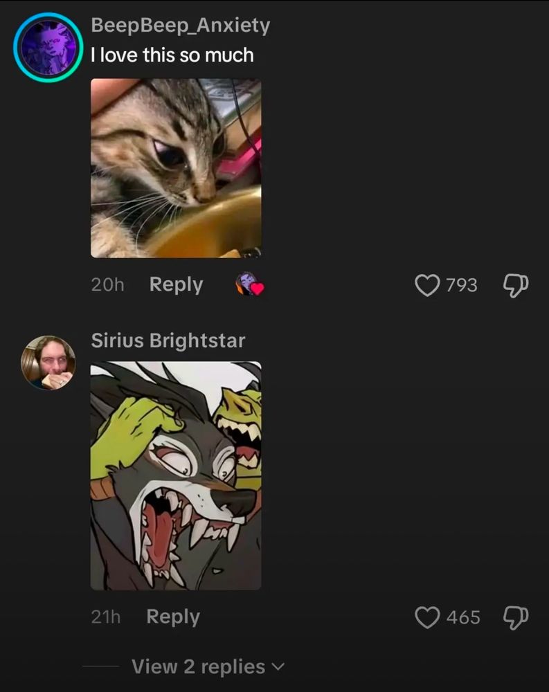 A screenshot from the above post’s tiktok comments comparing the art to a near identical cat meme.