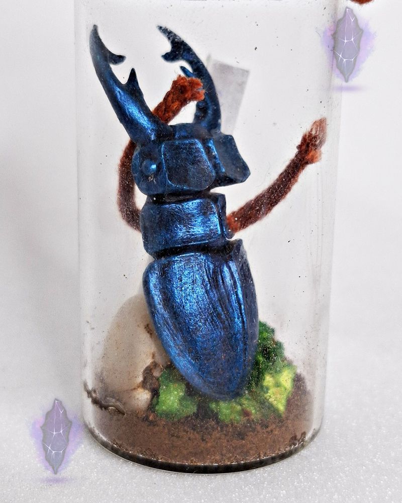 Une fiole contenant un scarabée bleu scintillant. reposant sur de la terre, de la mousse et de petits cailloux. A ses coté un parchemin renfermant un message secret. 