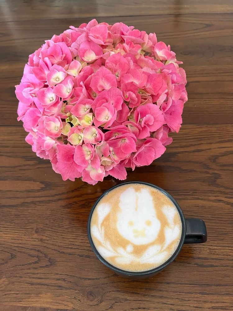 A vase of blooming pink flowers and a cup with latte art of Miffy, a cartoon character.