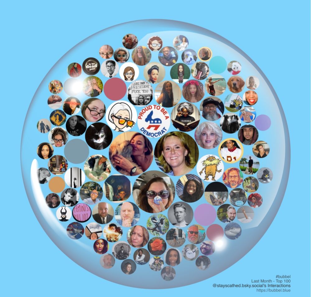Bubbel graphic of top 100 accounts interacted w poster in last month 