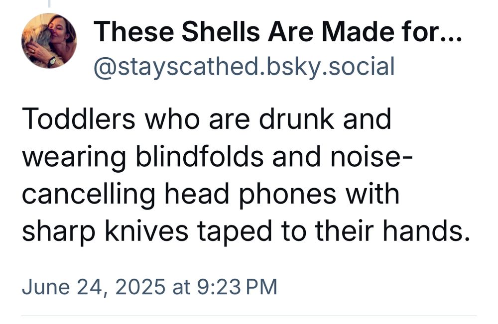 These Shells Are Made for...
@stayscathed.bsky.social
Toddlers who are drunk and wearing blindfolds and noise-cancelling head phones with sharp knives taped to their hands.