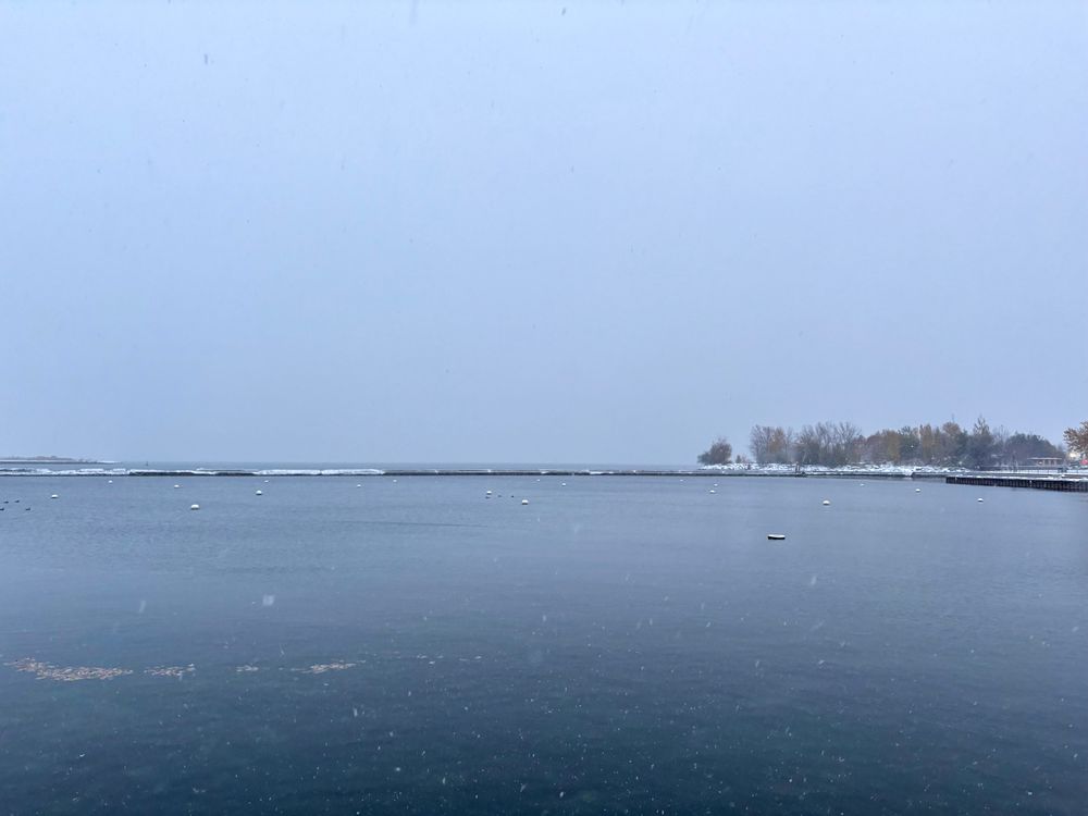 Still water inside a break wall on the Toronto waterfront, with snow gently falling. Trees in autumn foliage line the trillium park shoreline in the distance. 