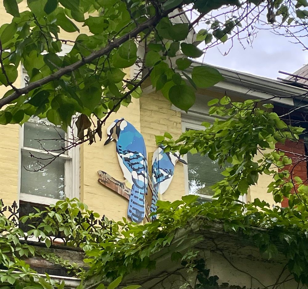 Large painted 2D carving of blue jays attached to the exterior of a house with painted yellow bricks. 