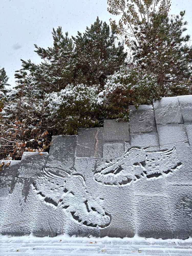 A large pair of moccasins carved into a wall by a path in a park, surrounded by tall evergreen trees. Art work is part of the moccasin identifier project. Snow covers the carving and the tree branches. 