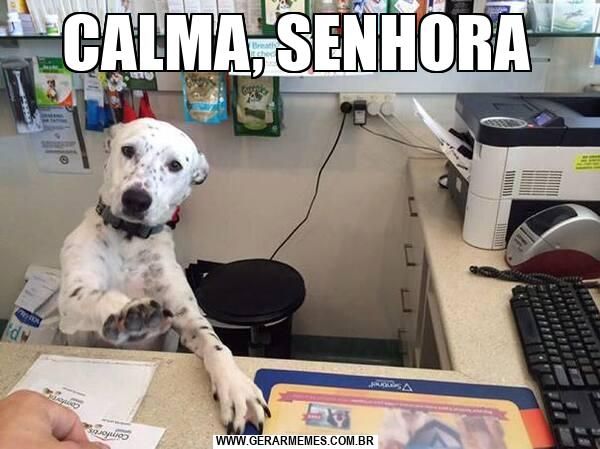 Cachorro numa escrivaninha diz Calma,senhora