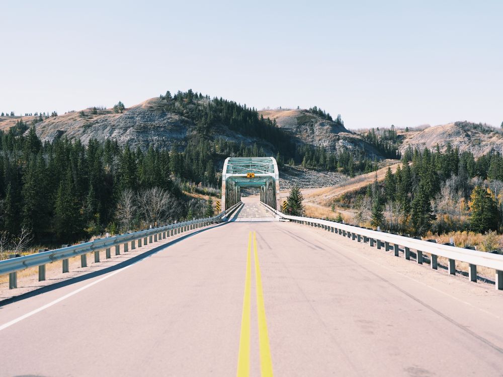 looking down the middle of a Lonely bridge with no one around in the daytime with green trees and barren land.