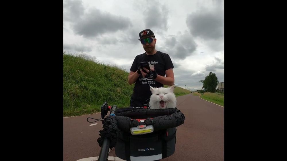 Sigi was in good spirits as we headed to Rotterdam to find somewhere to stay. 😸🚴‍♂️🏨