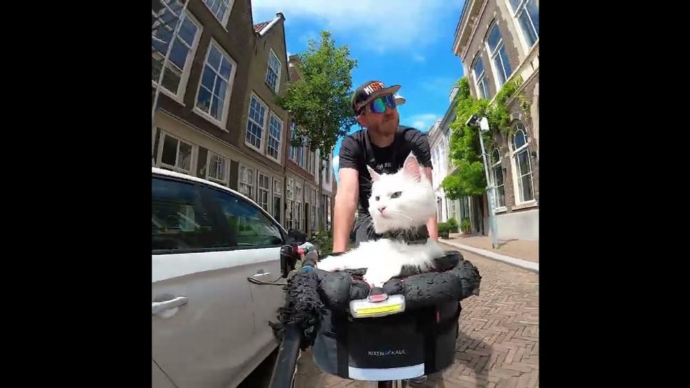 Once we arrived in Dordrecht, things got a little tricky. 🙀