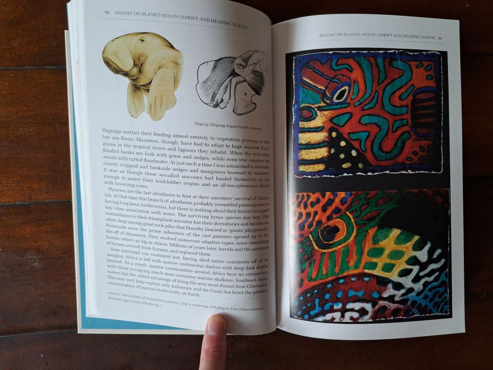 A spread from Origin Africa