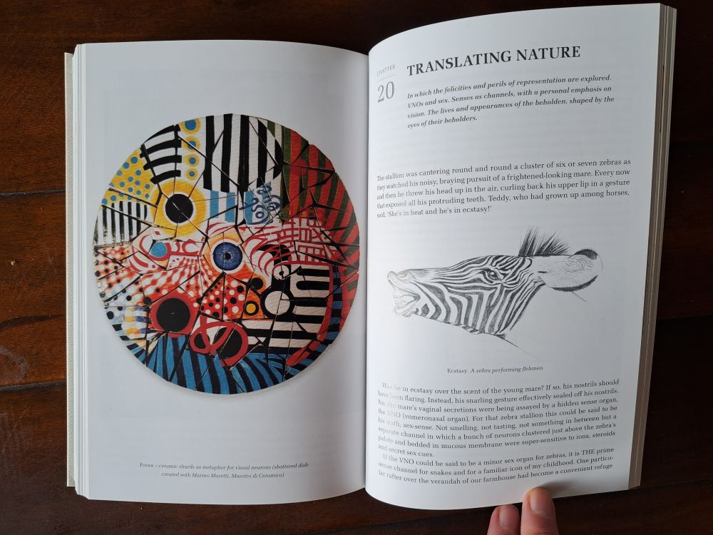 A spread from Origin Africa, with an artwork on the left, and a chapter title "Translating Nature" on the right