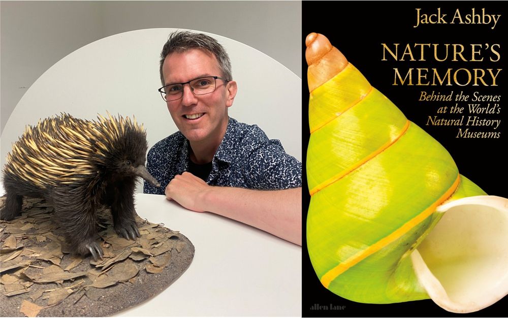 On the left, Jack Ashby with a taxidermy echidna.
On the right, the cover of Nature's Memory: Behind the Scenes at the World's Natural History Museums, by Jack Ashby