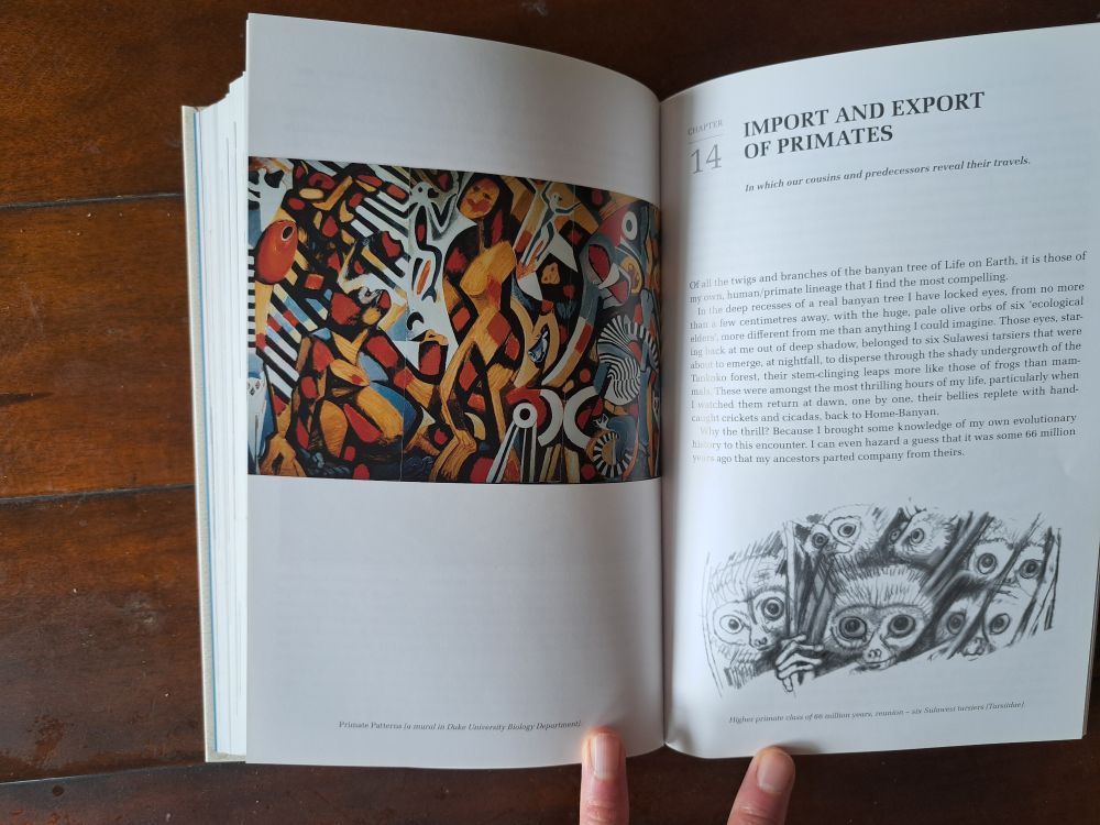 A spread from Origin Africa, with an artwork on the left and the title heafing "Import and Export of Primates" on the right