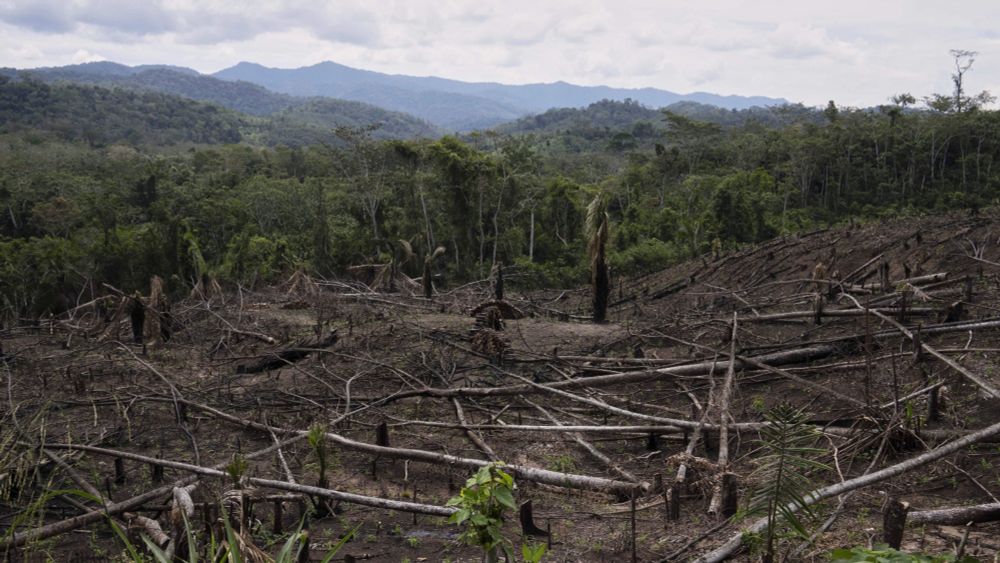Cuts to USAID severed longstanding American support for Indigenous peoples around the world