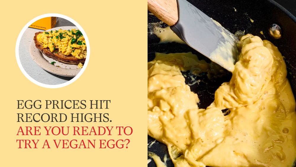 Abe image with yellow background and a plate of yummy vegan eggs.  the text reads; Egg Prices Hit Record Highs . Are you ready to try a vegan Egg. 

On the left side eggs are being cooked. 